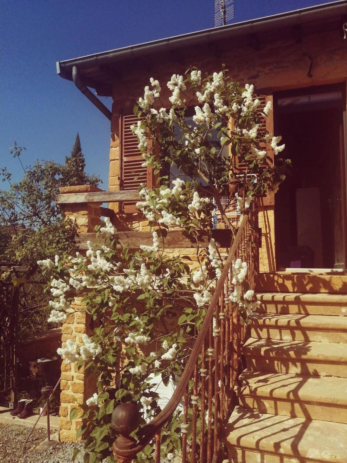 Une Evasion Dans Les Pierres Dorees Moire Εξωτερικό φωτογραφία